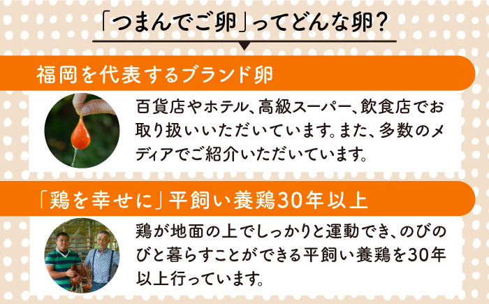 プリップリの卵が毎月届く！【全6回】 つまんでご卵 60個セット定期便 たまご/卵/鶏卵/玉子/平飼い卵 /卵かけご飯/たまごかけご飯 [AGA015]