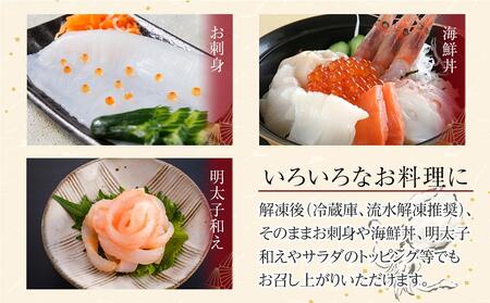 いか そうめん アオリイカ 糸つくり 1kg 小分け イカ 素麺 イカ 烏賊 いかそうめん 冷凍 イカ おつまみ イカ 海鮮丼 イカ 香川 さぬき市 イカ 
