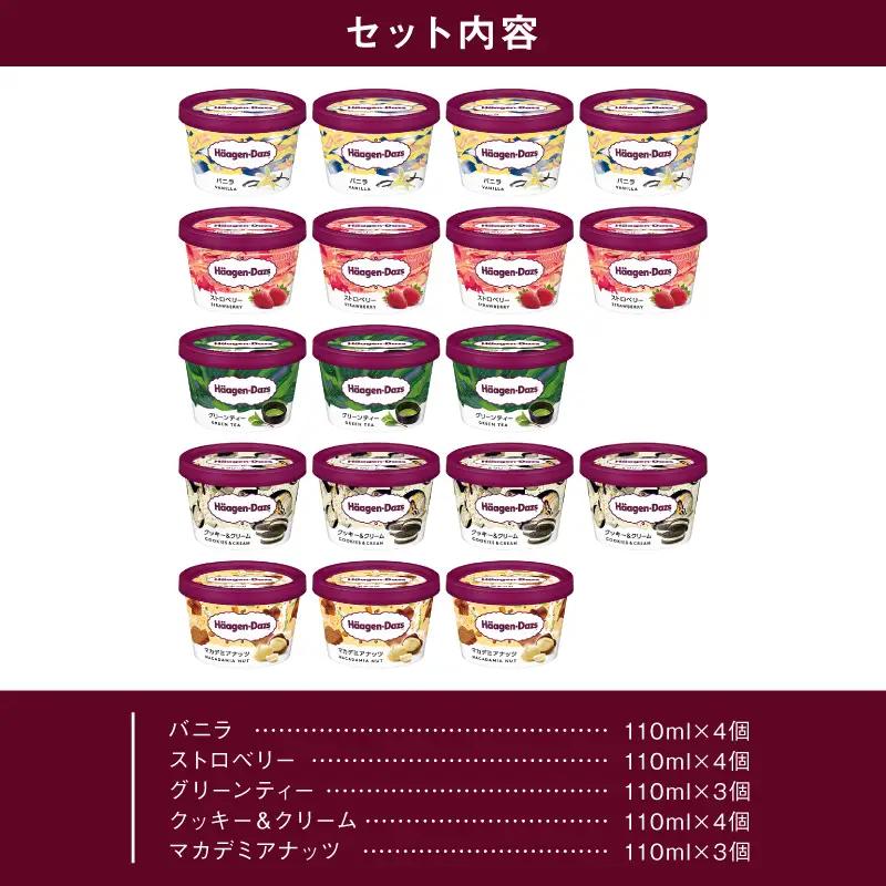 【着日指定できます!!】ハーゲンダッツ『定番ミニカップ5種セット(合計18個)』アイスクリーム アイス スイーツ デザート_H0016-127