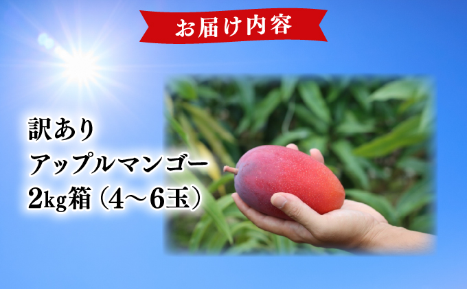【2026年夏発送】【先行予約】訳あり  アップルマンゴー！2kg箱(4〜6玉)