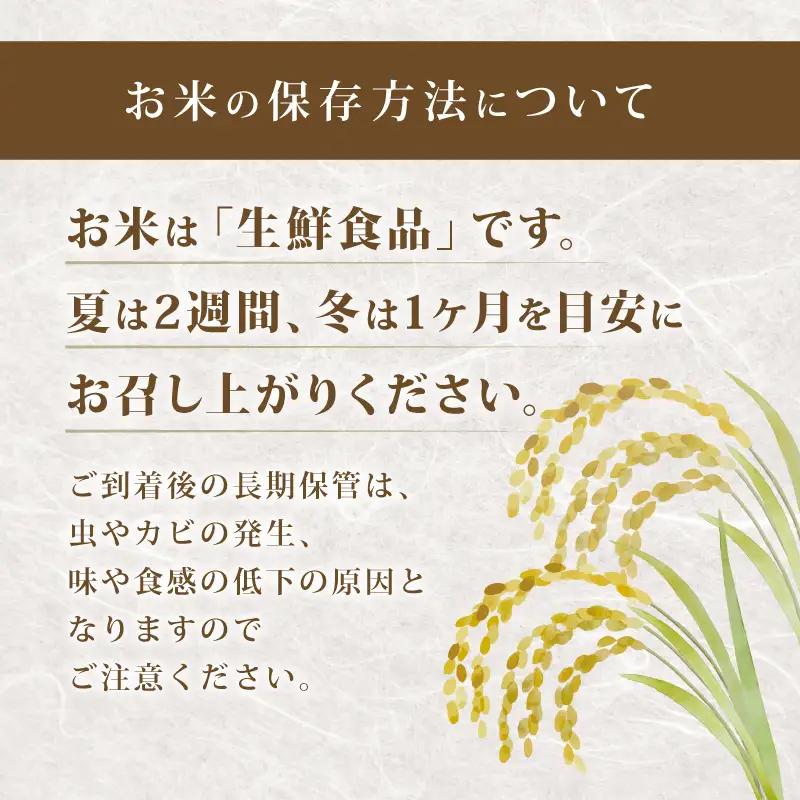 【先行予約】令和8年産 新米 みずかがみ 10kg 定期便 6ヶ月 玄米 米 