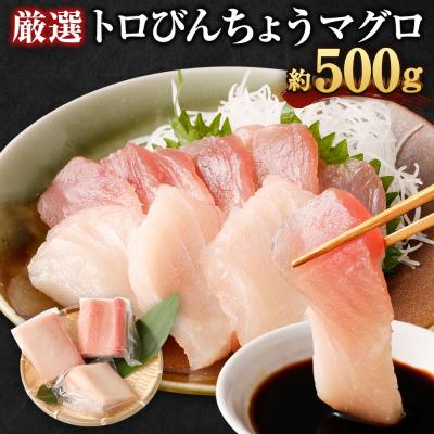 ふるさと納税 室戸市 厳選トロビンチョウ鮪500g以上