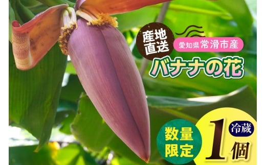 バナナの花　1個（300g以上） | 【思いやり型返礼品】バナナ ばなな 花 果物 フルーツ バナナハート 貴重 南国 産地直送 常滑市産 愛知県産 国内産 健康 就労支援 農業 アスナロファーム 愛知県 常滑市