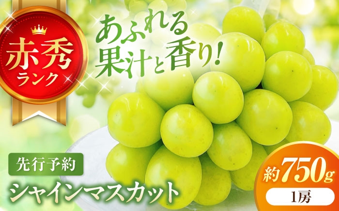 
                  【先行予約】内子町産シャインマスカット 赤秀 1房入 750g以上 ＜2025年8月下旬から発送＞【北海道・沖縄配送不可】 ／ シャインマスカット しゃいんますかっと 愛媛県 人気 皮ごと 葡萄 ブドウ 愛媛県産 内子町産 新鮮 旬 フルーツ 果物 くだもの しゃいん マスカット 種なし 産地直送 愛媛 内子町 国産 【株式会社フジ・アグリフーズ】 [BKAY007]
                