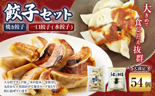 051-1169 焼き餃子と一口餃子（水餃子）「Aセット」合計54個 タレ付き 焼き餃子 一口餃子 水餃子 餃子 ぎょうざ ギョウザ  冷凍 おかず おつまみ 中華