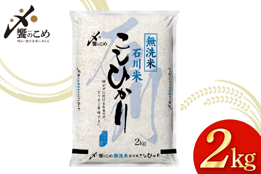 米 令和7年産 無洗米 石川米 こしひかり 2kg [中橋商事株式会社 石川県 宝達志水町 38601349] コシヒカリ お米 こめ コメ kome 能登 小容量 2キロ 令和7年 むせんまい