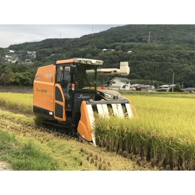 ふるさと納税 美馬市 令和7年産　美馬市コシヒカリ精米3kg |  | 01