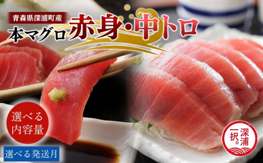 
                   ≪選べる内容量・発送月≫天然本マグロ 赤身 中トロ 青森県深浦町産 食べ比べ 冷凍柵 深浦マグロ 刺身 海鮮 鮪 まぐろ【fu-0015-021-023】
                