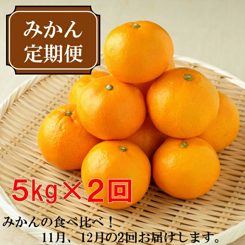 【ふるさと納税】厳選みかん定期便　約5kg　2回（11月、12月）