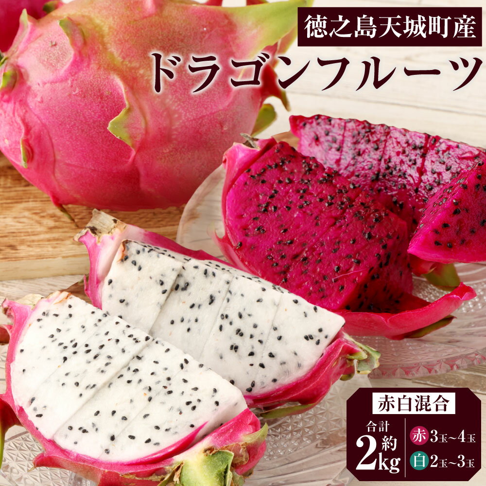【ふるさと納税】【2026年発送】徳之島 天城町産 ドラゴンフルーツ 赤白混合 約2kg 赤 3～4玉 白 2～3玉 ご家庭用 ピタヤ 南国 フルーツ トロピカルフルーツ 果物 美容 健康 鹿児島県 送料無料 AJ-36-N