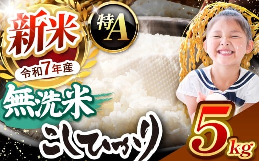 【栃木県共通返礼品】【令和7年度新米先行予約】栃木県産コシヒカリ 無洗米 5kg  | お米 米 こめ 洗米 新米 無洗米 コシヒカリ こしひかり 美味しい お弁当 選べる ふるさと 納税 栃木県 矢板市