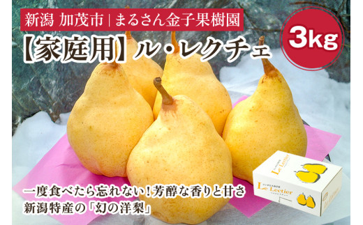 【2026年先行予約】【家庭用】ル・レクチェ 3kg（8〜11玉）《11月下旬から順次発送》 果物 梨 洋梨 西洋梨 フルーツ 訳あり 冬の味覚  デザート 産地直送 加茂市 まるさん金子果樹園