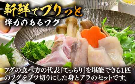 国産活本ふぐ（とらふぐ）鍋用 《もり多》【豊前市】 とらふぐ ふぐ 鍋 [VAF010]