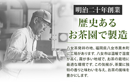 八女茶 ティーバッグ 200g 100パック 入り《30日以内に出荷予定(土日祝日除く)》福岡県 鞍手町 八女産 煎茶 日本茶 水出し 冷茶 送料無料