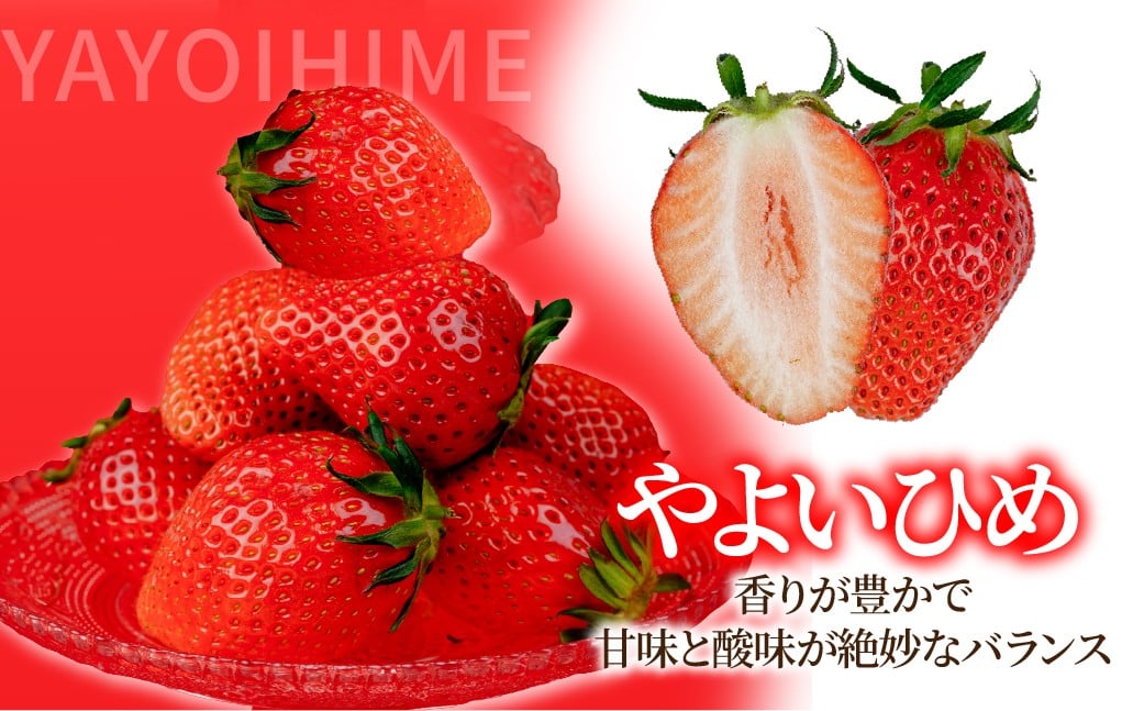 いちご イチゴ 苺 やよいひめ 第2回 いちご 選手権金賞 ブランド いちご ストロベリー