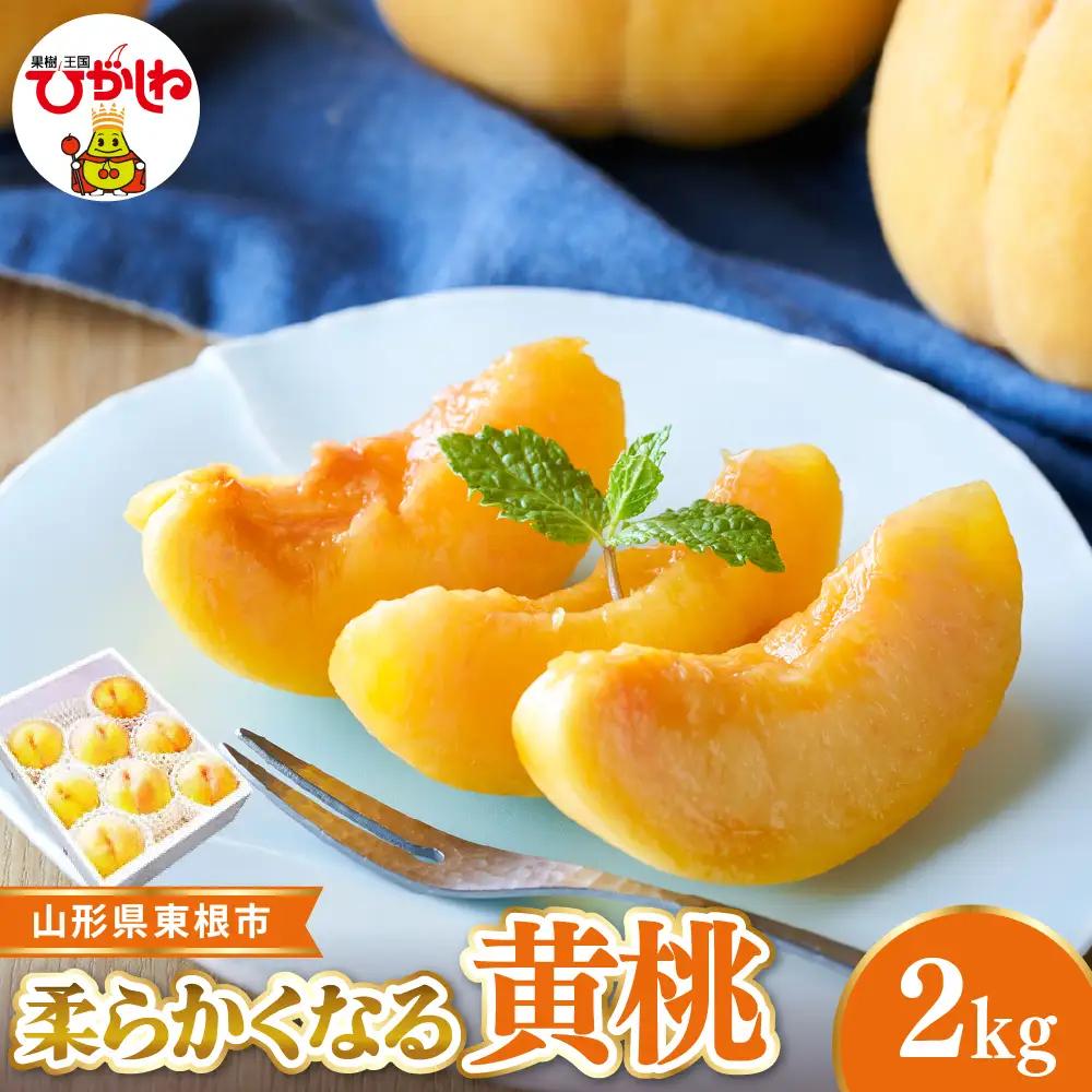 【2026年産】東根市産 黄桃 秀品 柔らかくなる桃約2kg 黄桃 桃