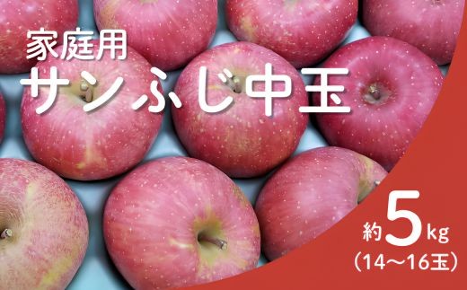 KR17 サンふじ 家庭用 中玉 約5kg（14～16玉） 長野県松川町産／11月下旬頃～配送予定//長野県 南信州 リンゴ 林檎 ふじ さんふじ 訳あり 自家用 農家直送 農家支援 産地直送