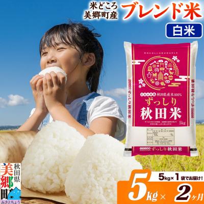 ふるさと納税 美郷町 《定期便2ヶ月》ブレンド米【白米】精米 5kg(5kg×1袋)|01_ssn-010502h