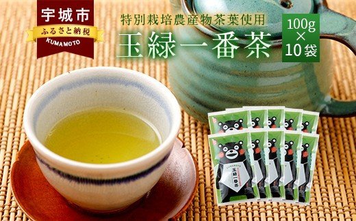 くまモン 玉緑一番茶 100g 10袋セット 緑茶 日本茶 一番茶