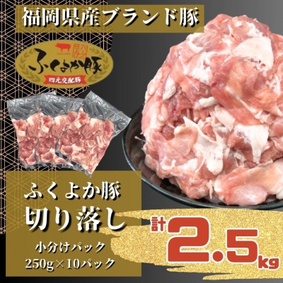 
                  ふくよか豚切り落し2.5kg(250g×10パック)_モモ ウデ モモ肉 ウデ肉 小分け 真空パック ブタ肉 ぶた肉 生姜焼き 焼きそば 豚汁 冷凍 福岡県 福岡 九州 グルメ お取り寄せ【1566229】
                