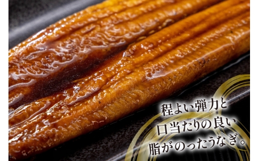 うなぎ 国産 蒲焼 約160g 1尾  [駿河淡水 静岡県 吉田町 22424770] タレ山椒付き 真空パック 個包装 静岡県産 静岡 鰻 ウナギ 蒲焼き