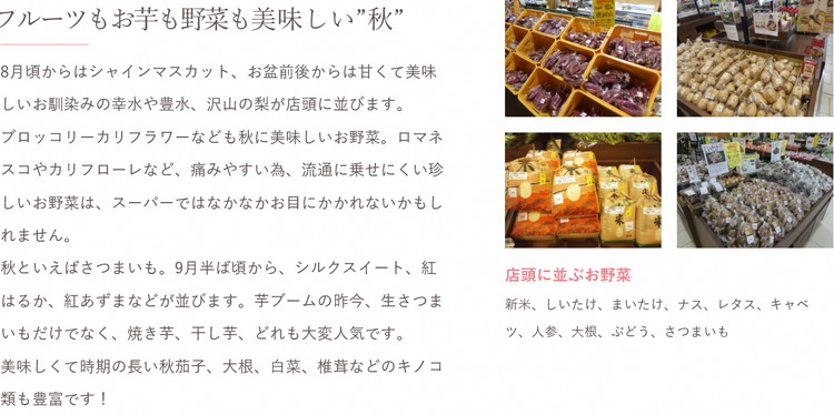 道の駅まくらがの里古河　季節の新鮮野菜おまかせAセット_BQ03 ※北海道・沖縄・離島への配送不可