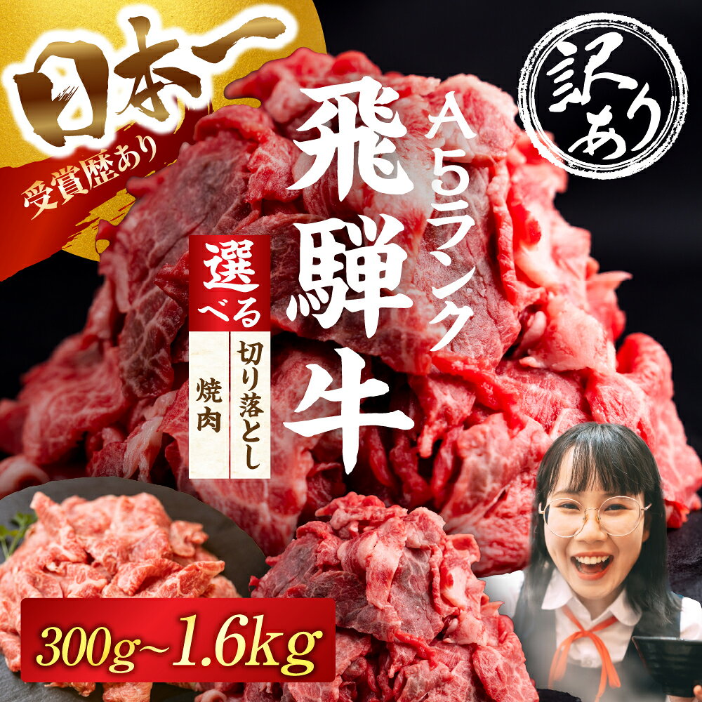 【ふるさと納税】≪選べる 訳あり≫ 飛騨牛 A5 切り落とし 焼肉 300g ～ 1.6kg 選べる 定期便 牛肉 肉 飛騨牛 A5 A5ランク A5等級 部位おまかせ 厳選部位 おまかせ お任せ 切り落とし 焼肉 焼き肉 BBQ 冷凍 美味しい おいしい 最高級 10000円 1万円 中部ミート 岐阜県 大垣市