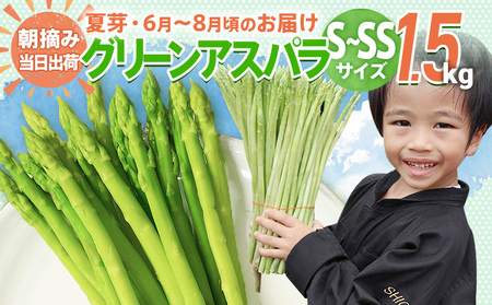 数量限定 アスパラ S～SS サイズ 1.5kg 朝採り 直送 夏芽 グリーンアスパラガス 朝採れ 先行予約 【2025年6月から8月お届け】 BT09