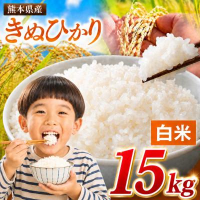 ふるさと納税 玉名市 【令和8年産】熊本県産 きぬひかり 白米 15kg