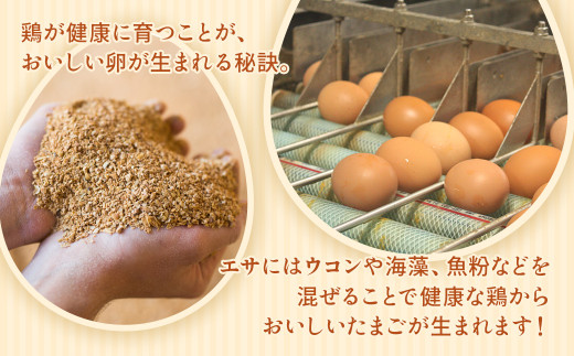【4ヶ月定期便】赤玉卵「自然のたからもの　黄味恋し」1ケース（10個入り×3パック）×4ヶ月 ※離島への配送不可