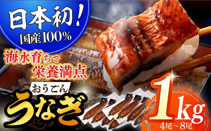 長崎県産おうごんうなぎ松セット約1kg 4尾-8尾【（有）松永水産】[KAB128]/ 長崎 平戸 魚介類 魚 うなぎ 鰻 ウナギ 蒲焼 かばやき