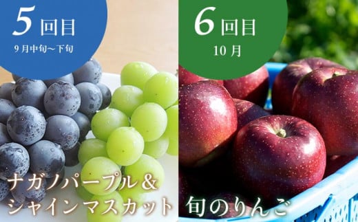 ［年10回定期便］ 信州の人気フルーツ定期便 年10回コース ［小布施屋］ 定期便 頒布会 フルーツ 果物 信州 令和7年産 【2025年6月中旬～2026年2月発送】