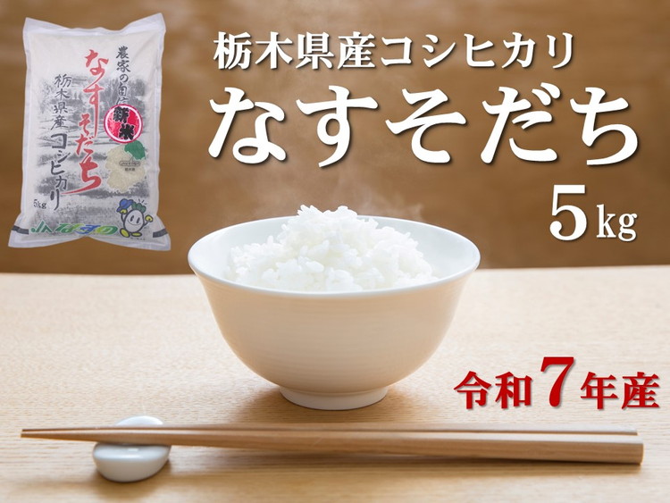 令和7年産 栃木県産 コシヒカリ なすそだち 5kg JAなすの産地直送【大田原市・那須塩原市・那須町共通返礼品】〔P-237〕｜ 米 コメ こめ 白米 精米 新米 ※離島への配送不可