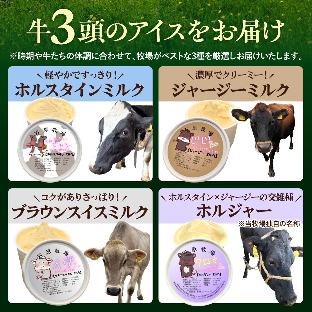 1頭のミルクを丸ごと味わうアイスクリーム 80ml×6個《牛3頭セット》【石原牧場】 6個セット