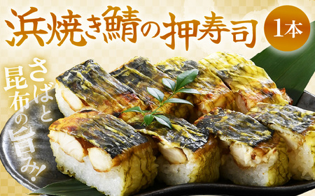 【福井名物】焼き鯖の押寿司1本＆穴子の棒寿司2本 寿司3本セット ギフト 冷凍寿司 [A-8402]