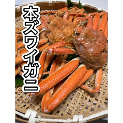 ふるさと納税 村上市 【訳あり】浜茹で本ズワイガニ　足欠「雄ガニ　3杯(約900g)」1043007