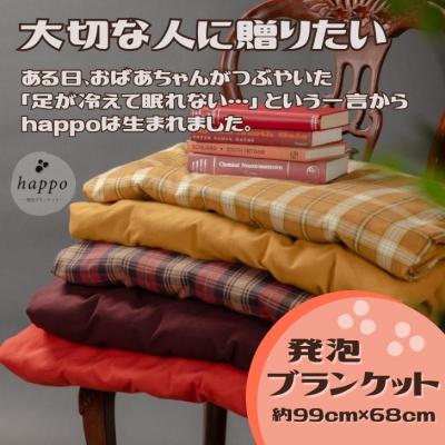 ふるさと納税 宍粟市 大切な人に贈りたい「 発泡ブランケット 」　BN1　