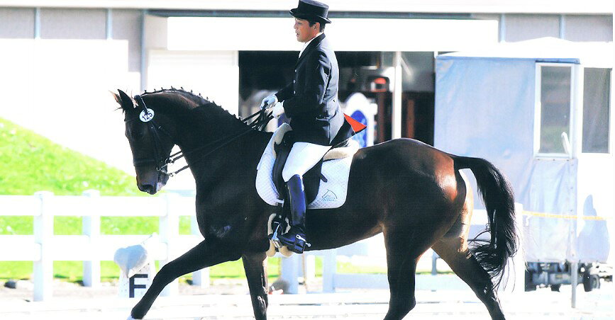 【ふるさと納税】四街道グリーンヒル乗馬クラブ 店頭利用券 50000円分 / 乗馬体験 ビジターレッスン 自馬預託料
