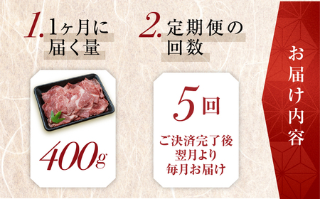 トキノ屋食品 A5等級 飛騨牛切り落とし 400g 5回お届け定期便[mt404]