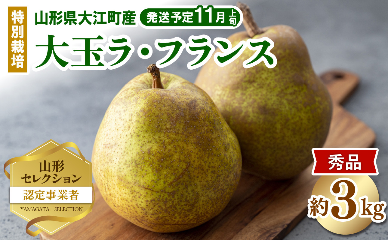 
            《先行受付》特別栽培 大玉 ラ・フランス 約3kg・秀品4L～3L 【2025年11月上旬頃～発送予定】 【025-016】
          