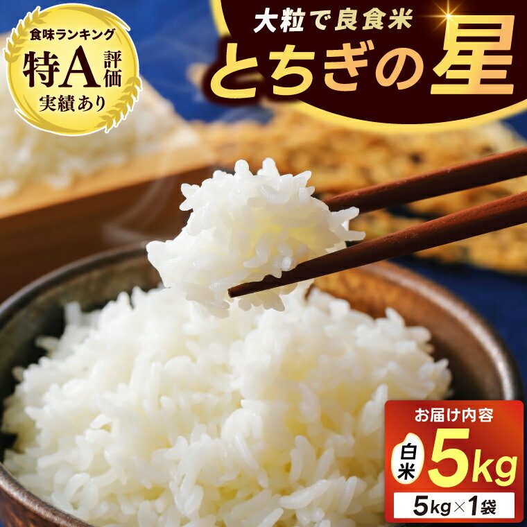【ふるさと納税】★新米 令和7年★ 米 5kg 白米 「とちぎの星」＼先行予約 選べる 配送月／ 山崎観光農園 栃木県 益子町 ふるさと納税 お米 米 白米 精米 5キロ 令和7年産 先行予約 10月/11月/12月 (AU023)