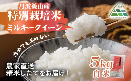 【2026年産】丹波篠山産特別栽培ミルキークイーン白米5kg 兵庫県 丹波篠山市 白米 100％単一原料米 産地直送米 おいしい お米 精米 ブランド おこめ 健康 送料無料 おすすめ 人気 口コミ