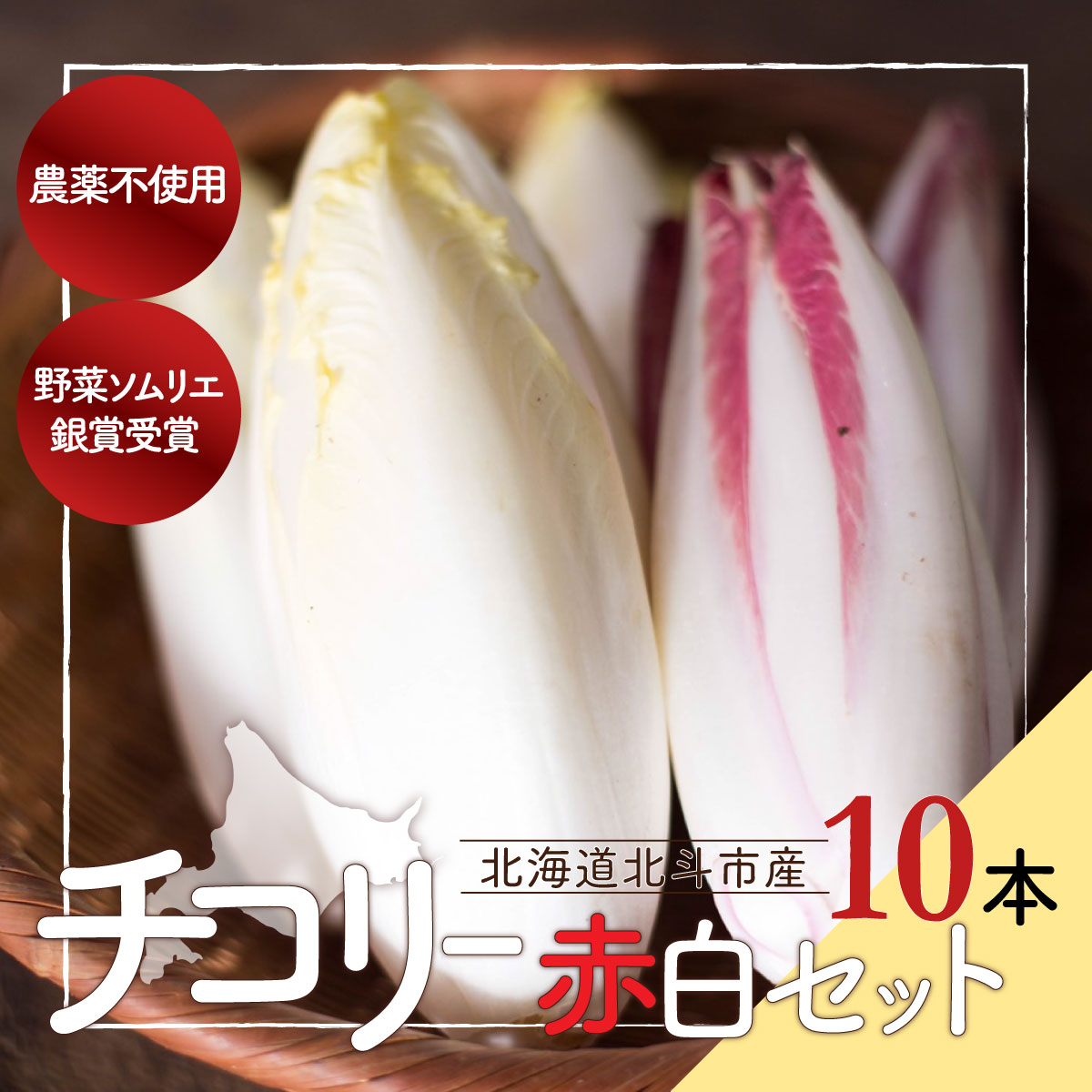 【ふるさと納税】チコリー赤白セット 【 ふるさと納税 人気 おすすめ ランキング 野菜 チコリ ちこり チコリー チコリー おいしい 新鮮 鮮度抜群 健康 ヘルシー 北海道 北斗市 送料無料 】 HOKY002