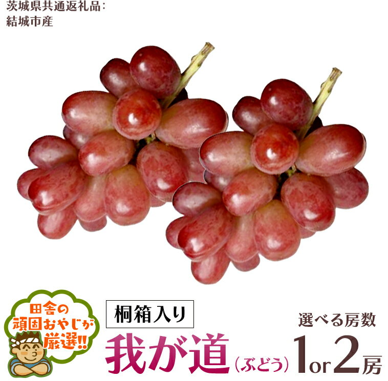 【ふるさと納税】＼ 選べる房数 ／ 【 桐箱入り 】我が道 （ ぶどう ） 1房 2房 【2025年9月から発送開始】（茨城県共通返礼品 [ぶどう]：結城市産） ぶどう 我が道 果物 フルーツ 季節 旬