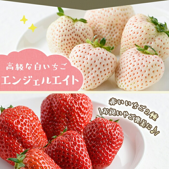 No.1162 <先行予約受付中!>紅白いちごの食べ比べセット(計600g・300g×2トレー) 国産 九州産 鹿児島 日置市 生鮮食品 苺 イチゴ 果物 フルーツ 大粒 食べ比べ【ままりあ農園】