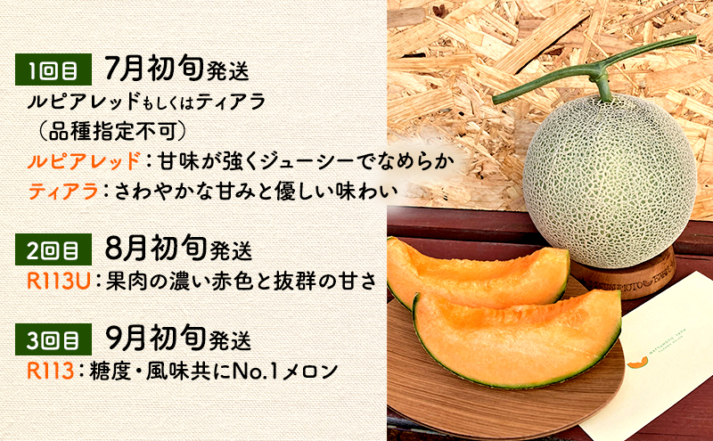 【2025年7～9月連続お届け】メロン 好き必見！ ふらの 赤肉 メロン3種 贅沢 定期便 北海道 富良野市 食べ比べ  (松本農園) メロン フルーツ 果物 新鮮 甘い 贈り物 ギフト 道産 ジュー
