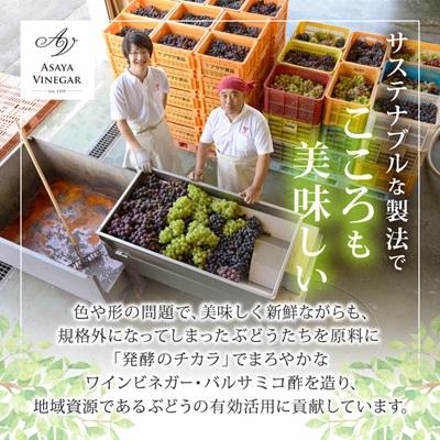 ふるさと納税 山梨県 【蔵元直送】プロ御用達!山梨産ホワイトバルサミコ酢2本セット-世界農業遺産認定地域のぶどう使用- |  | 03