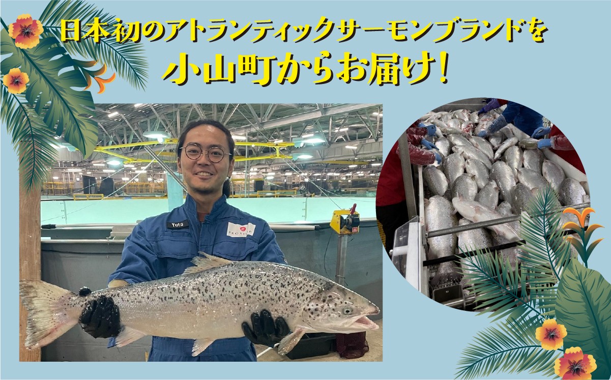 日本初 完全陸上養殖 静岡県小山町産 アトランティックサーモン 冷凍 ポキ丼 （ 約160g × 4パック ）塩?たれ | サーモン 小分け 真空パック 刺身 海鮮丼 海鮮 魚介 アボカド サーモン丼