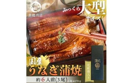 大型サイズ ふっくら柔らか 国産うなぎ蒲焼き 3尾 化粧箱入［夏土用の丑の日のうなぎ］［～7月26日までにお届け］［UT06］