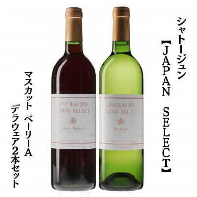 ふるさと納税 甲州市 シャトージュン　【JAPAN SELECT】マスカット ベーリーA デラウェア2本セット